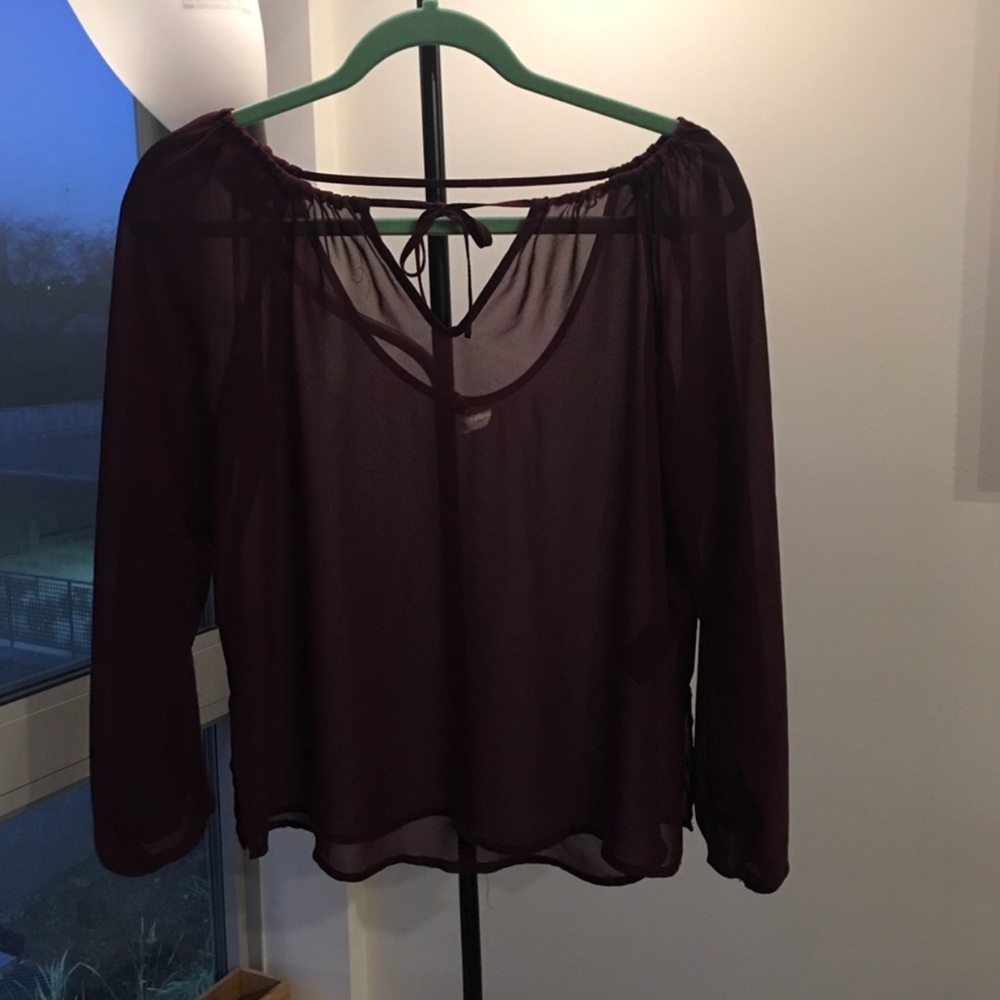 Sheer Deep Purple Top